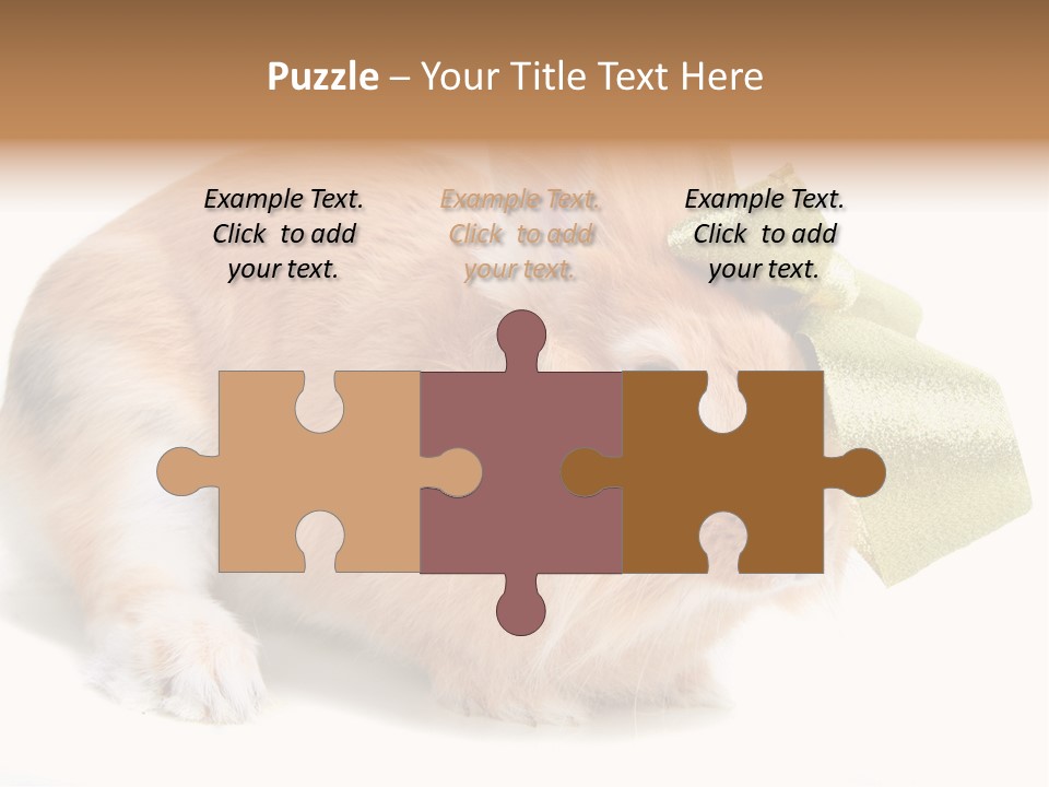 Hear Stylish Pet PowerPoint Template