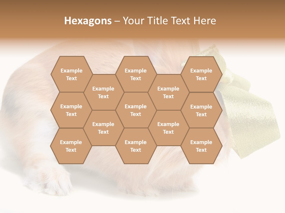 Hear Stylish Pet PowerPoint Template