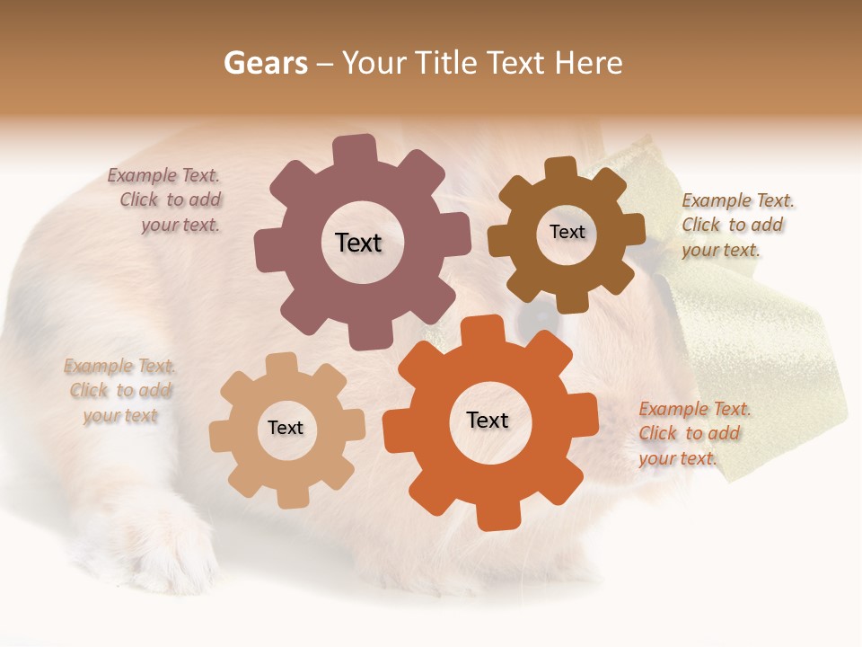 Hear Stylish Pet PowerPoint Template