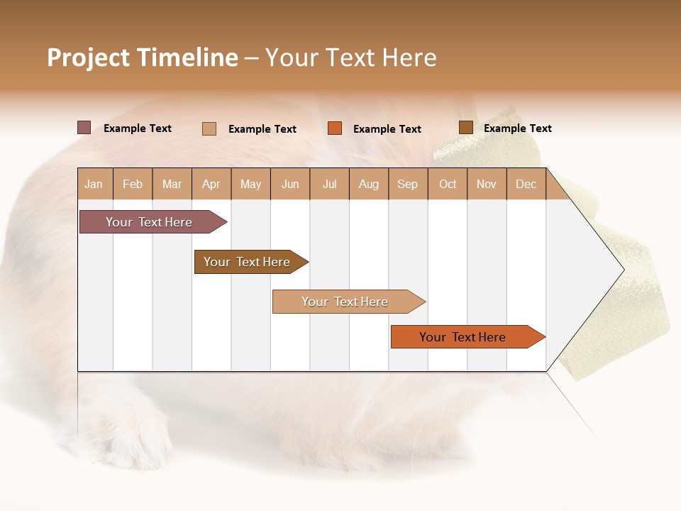 Hear Stylish Pet PowerPoint Template
