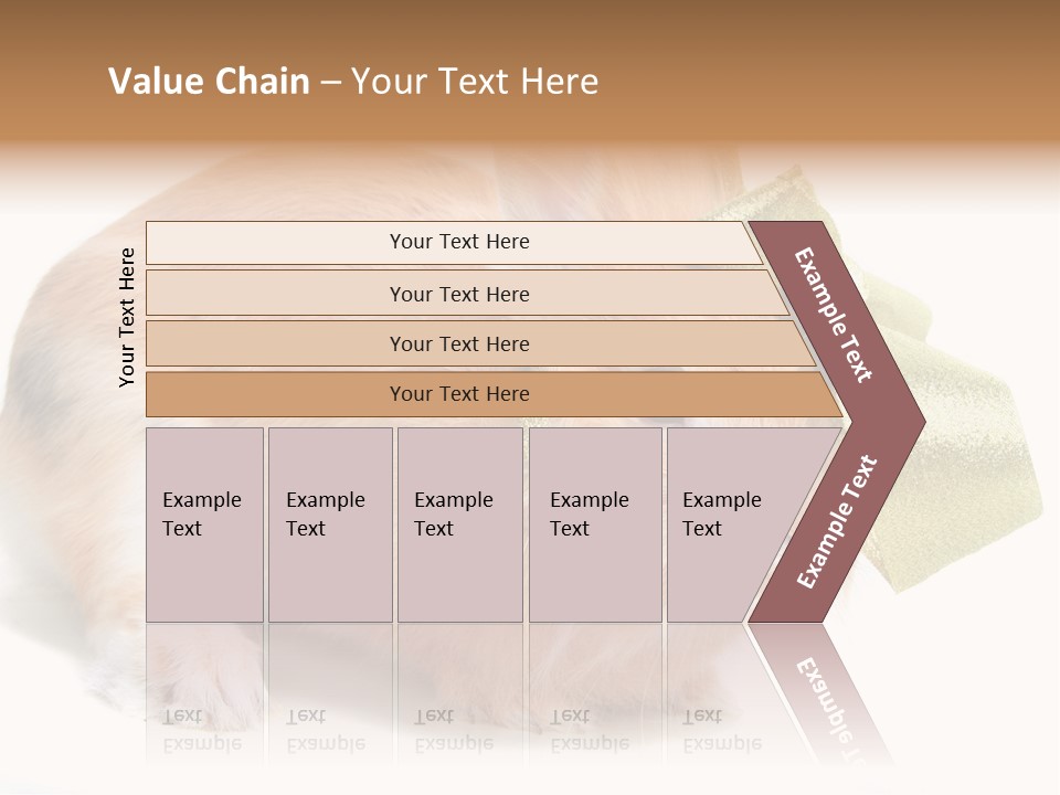 Hear Stylish Pet PowerPoint Template