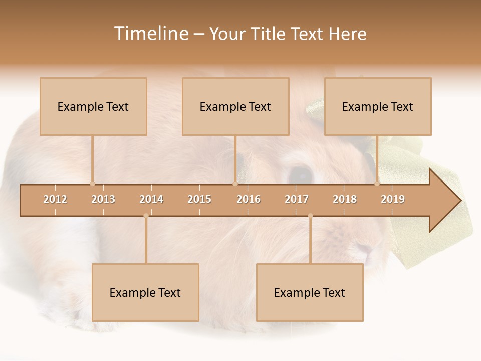 Hear Stylish Pet PowerPoint Template