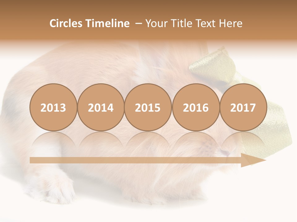 Hear Stylish Pet PowerPoint Template