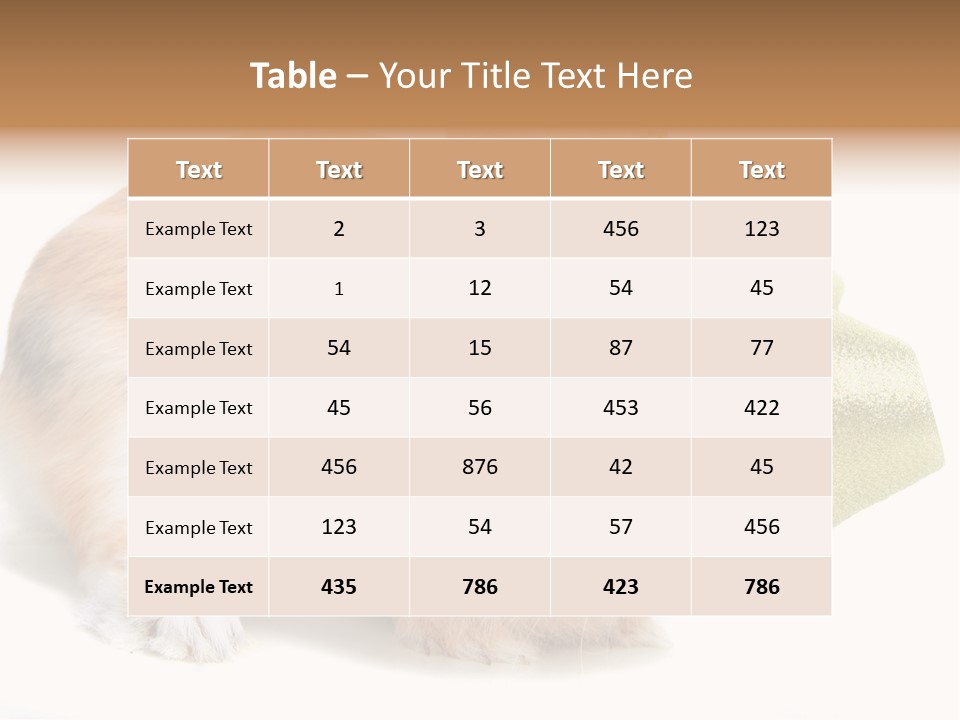 Hear Stylish Pet PowerPoint Template