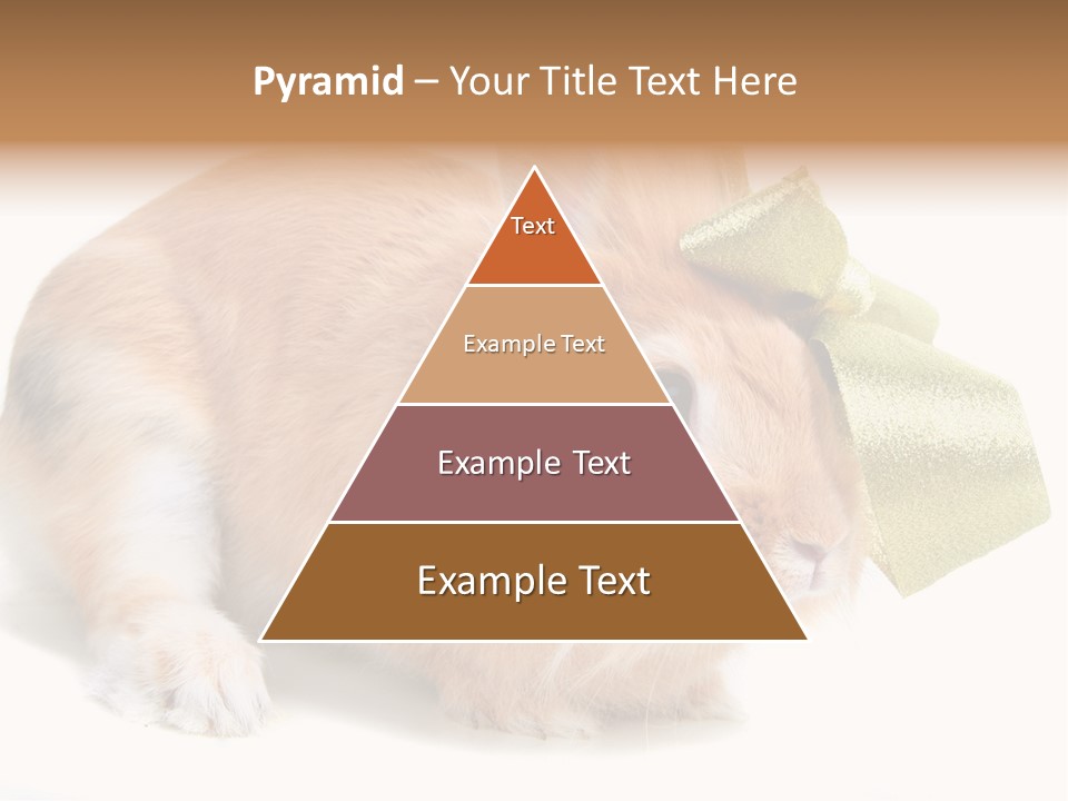 Hear Stylish Pet PowerPoint Template