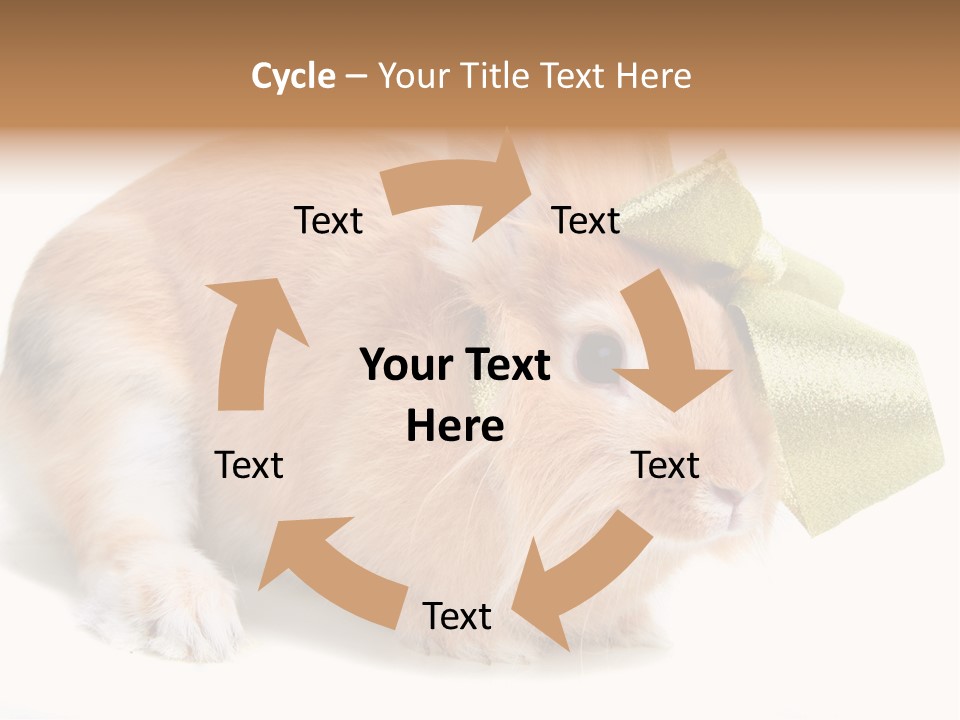 Hear Stylish Pet PowerPoint Template