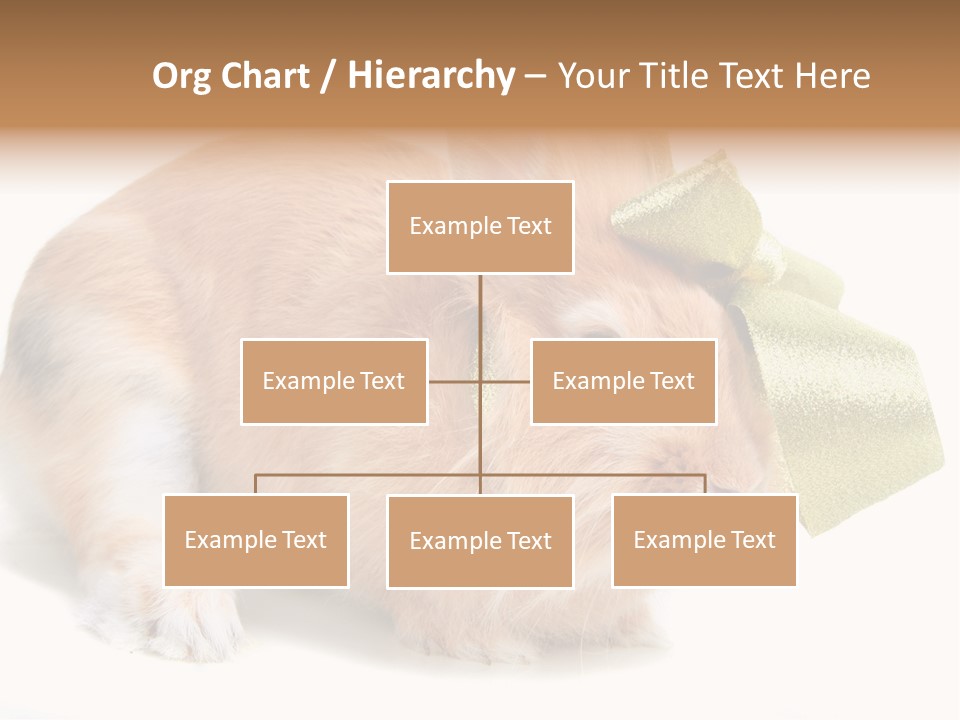 Hear Stylish Pet PowerPoint Template