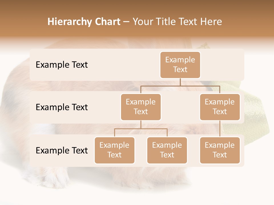 Hear Stylish Pet PowerPoint Template