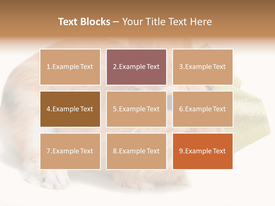 Hear Stylish Pet PowerPoint Template