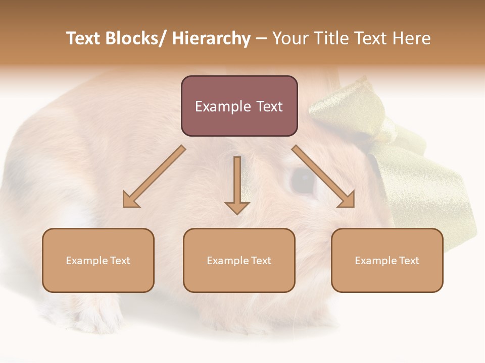 Hear Stylish Pet PowerPoint Template