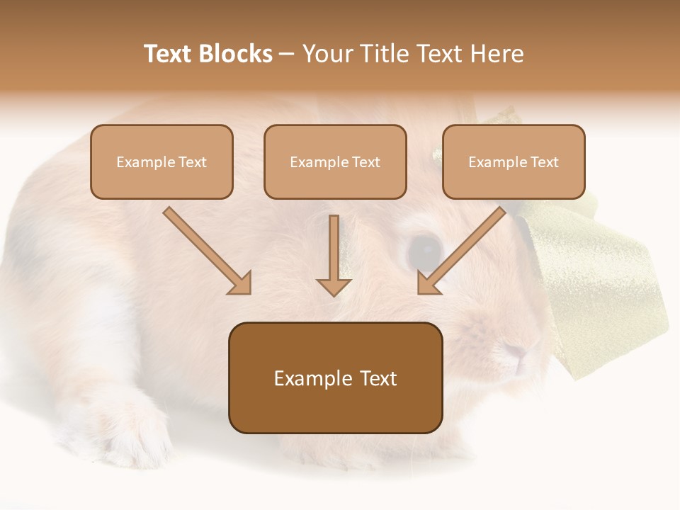 Hear Stylish Pet PowerPoint Template