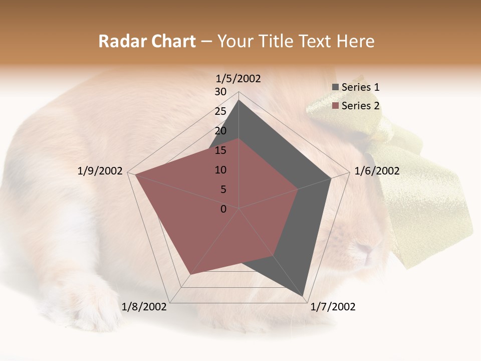 Hear Stylish Pet PowerPoint Template