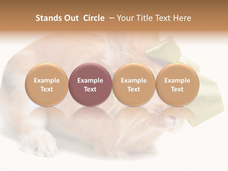 Hear Stylish Pet PowerPoint Template