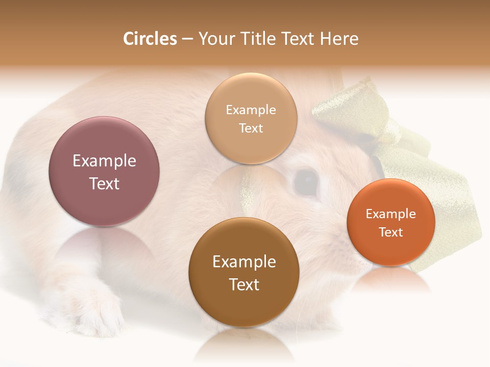 Hear Stylish Pet PowerPoint Template