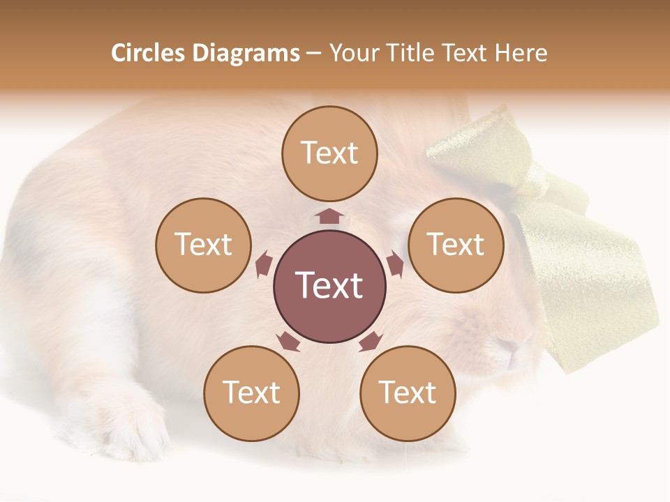 Hear Stylish Pet PowerPoint Template