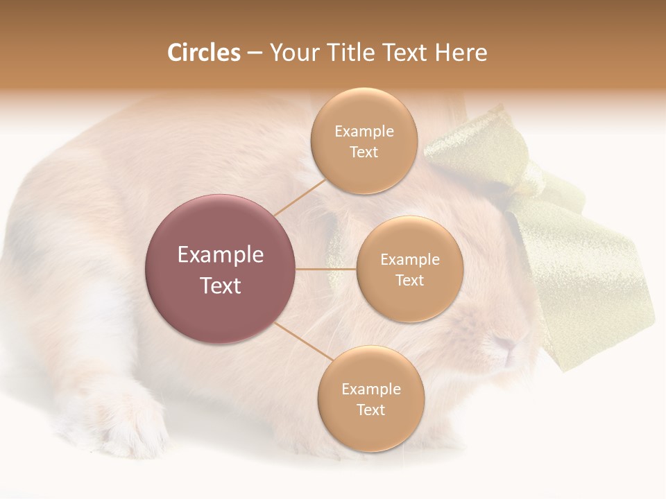 Hear Stylish Pet PowerPoint Template