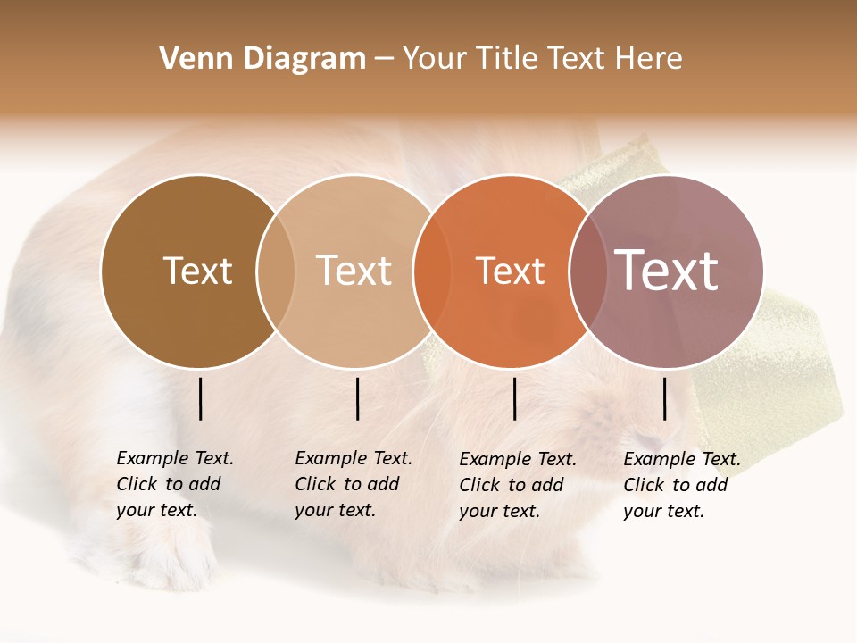 Hear Stylish Pet PowerPoint Template