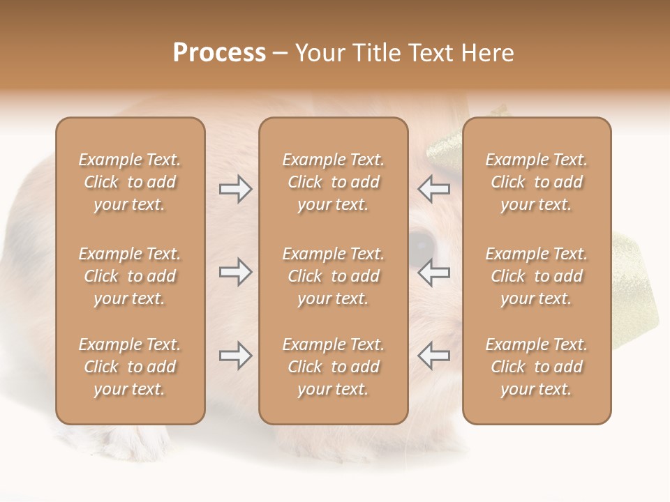 Hear Stylish Pet PowerPoint Template