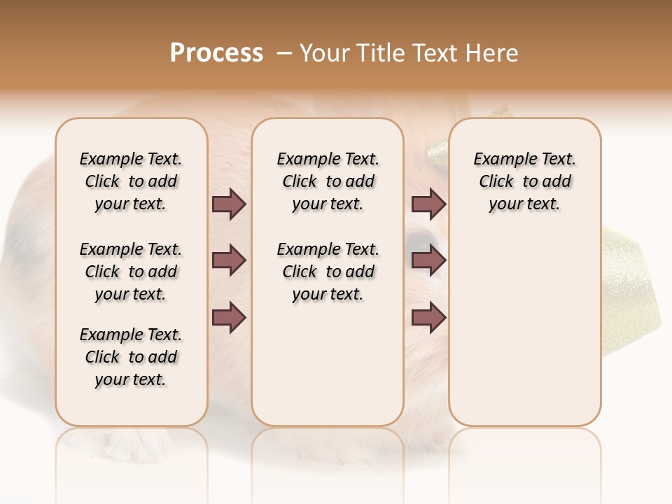 Hear Stylish Pet PowerPoint Template