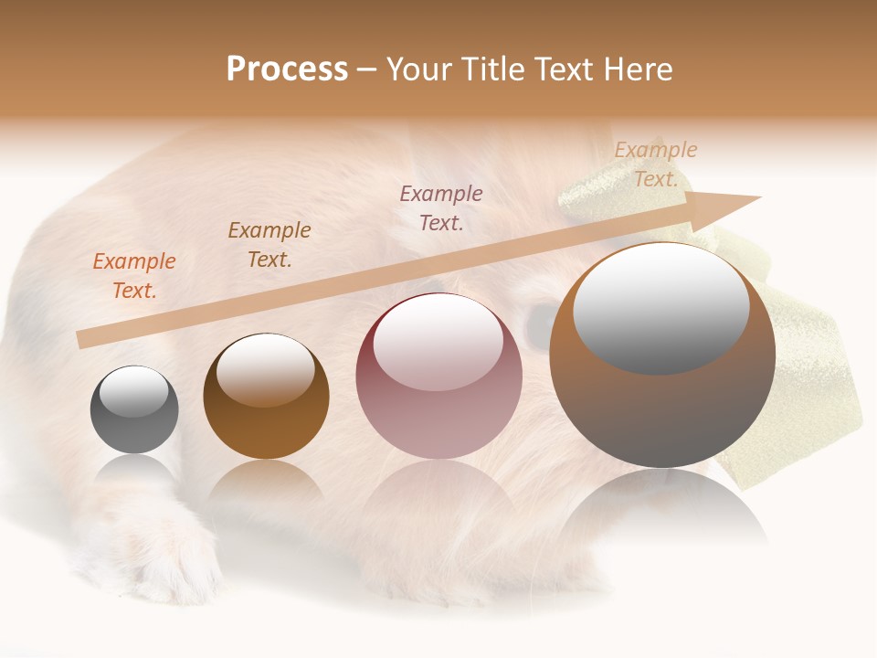 Hear Stylish Pet PowerPoint Template