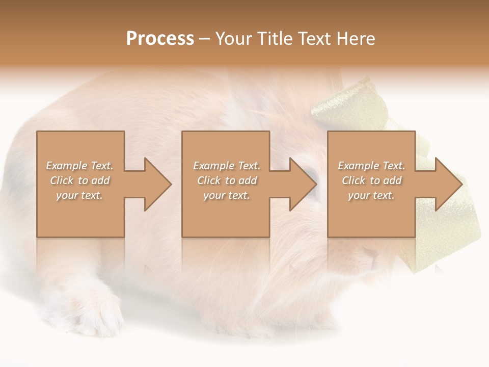 Hear Stylish Pet PowerPoint Template