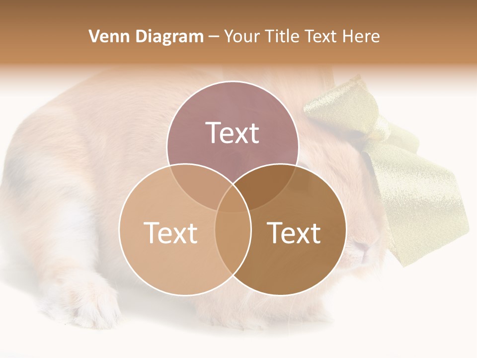 Hear Stylish Pet PowerPoint Template