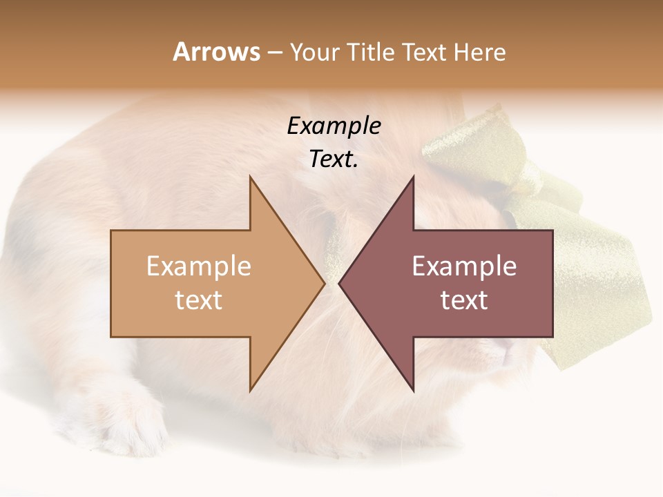 Hear Stylish Pet PowerPoint Template