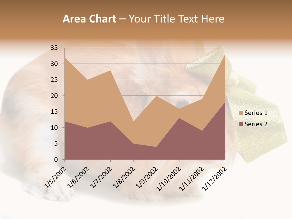 Hear Stylish Pet PowerPoint Template