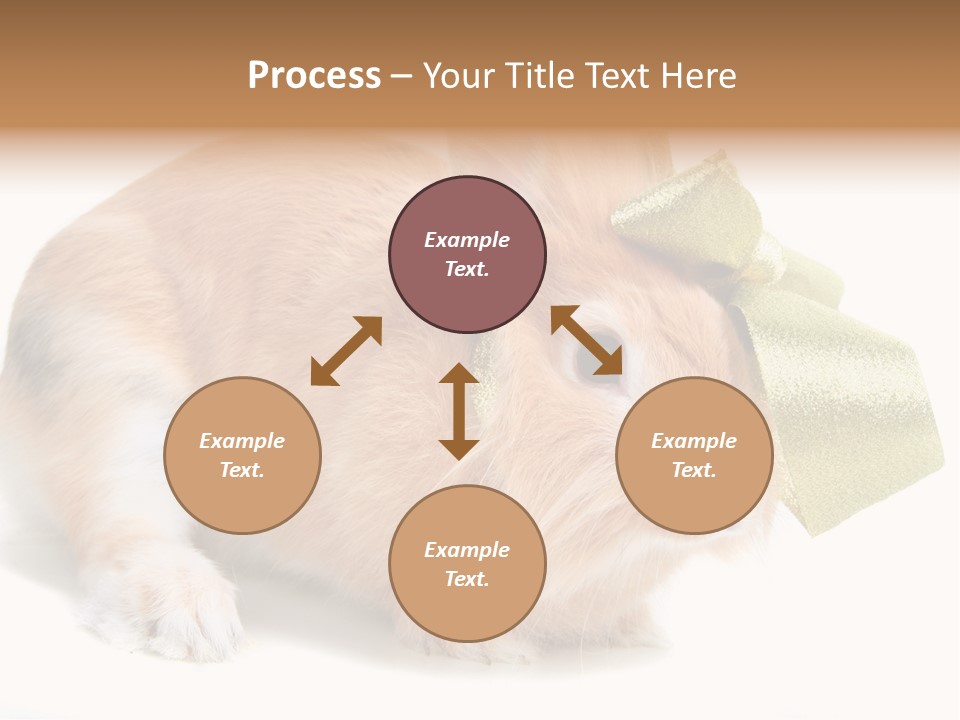 Hear Stylish Pet PowerPoint Template