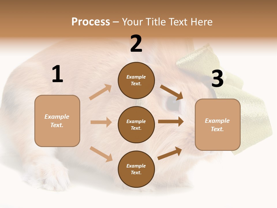 Hear Stylish Pet PowerPoint Template