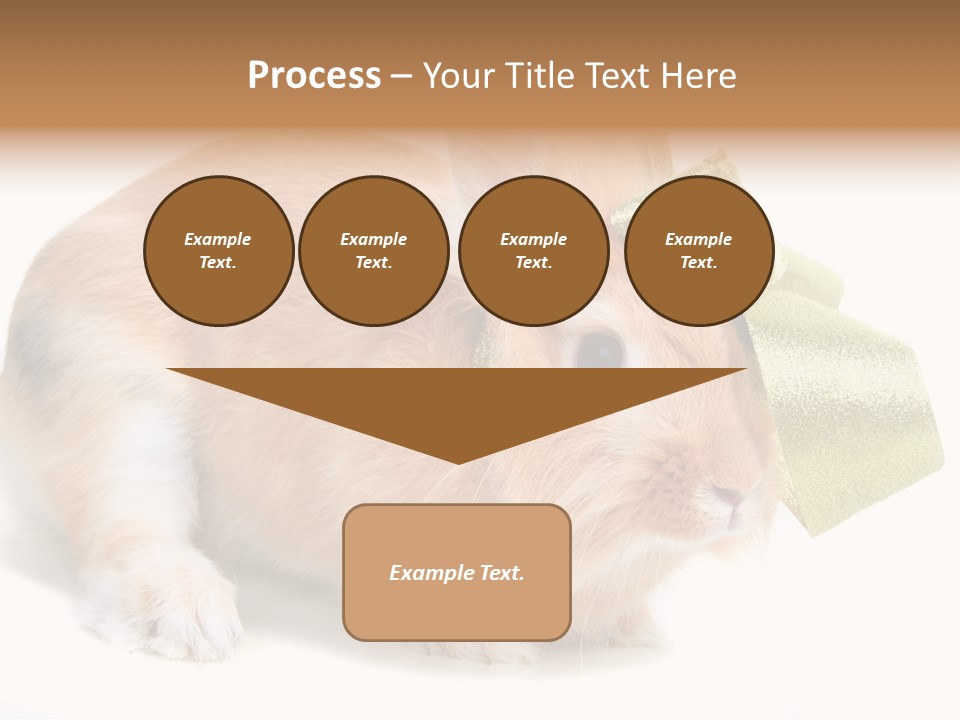 Hear Stylish Pet PowerPoint Template