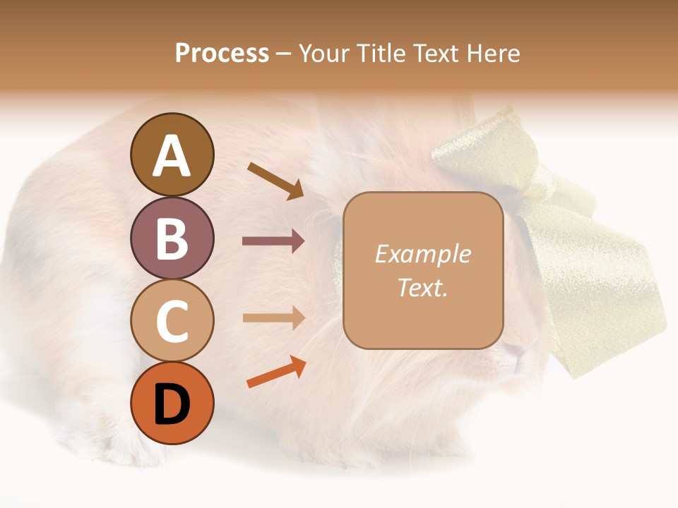 Hear Stylish Pet PowerPoint Template