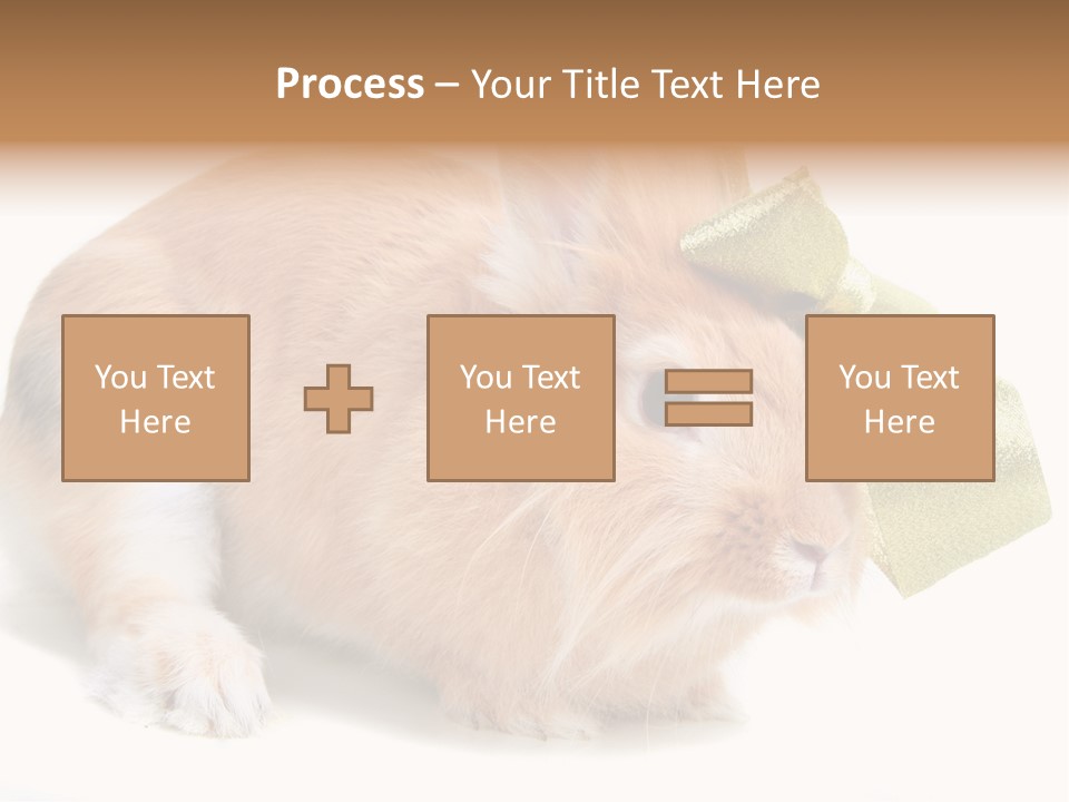 Hear Stylish Pet PowerPoint Template