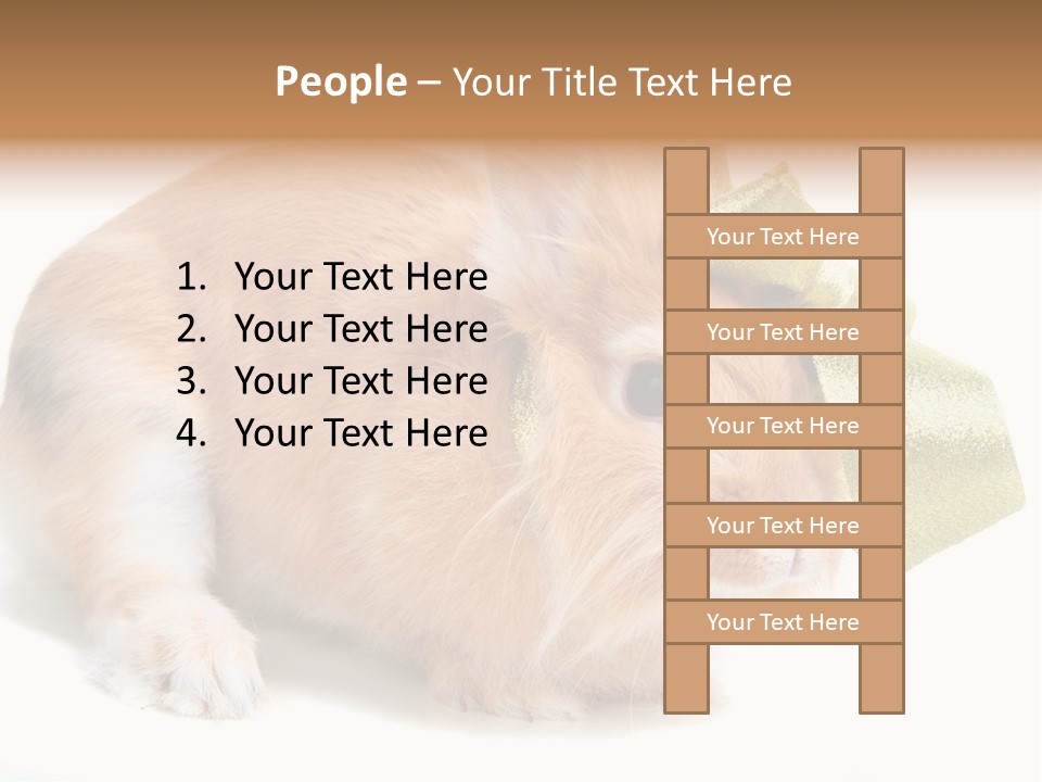 Hear Stylish Pet PowerPoint Template