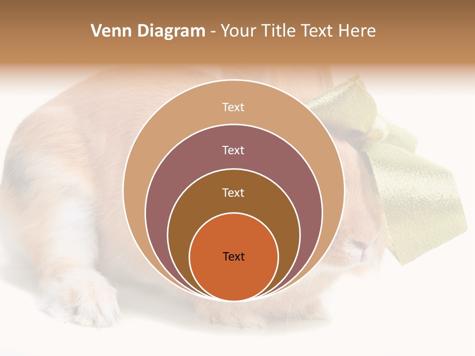 Hear Stylish Pet PowerPoint Template