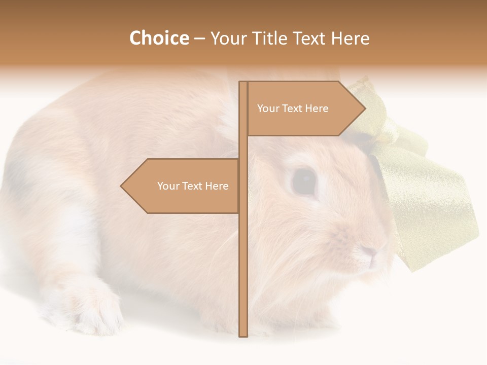 Hear Stylish Pet PowerPoint Template