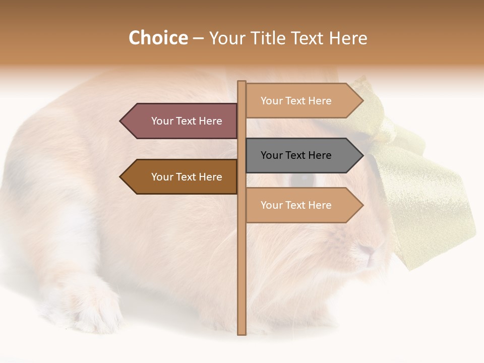Hear Stylish Pet PowerPoint Template