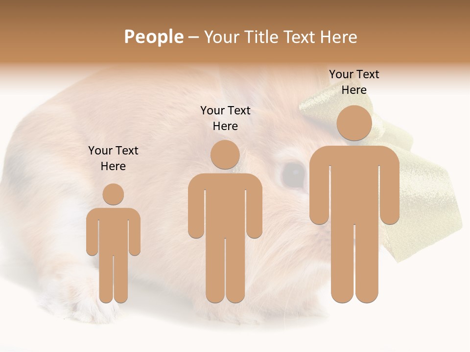 Hear Stylish Pet PowerPoint Template