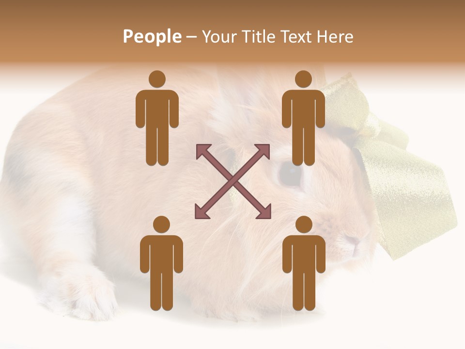 Hear Stylish Pet PowerPoint Template