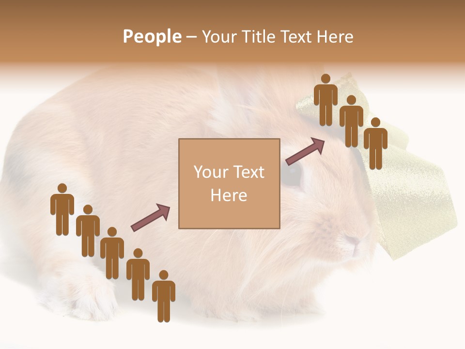 Hear Stylish Pet PowerPoint Template