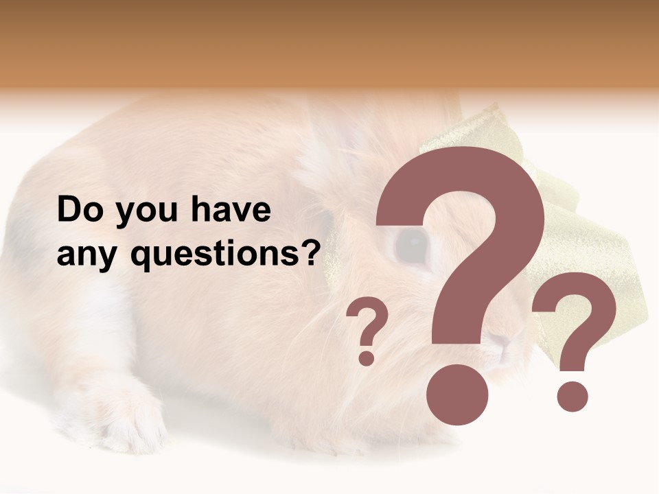 Hear Stylish Pet PowerPoint Template