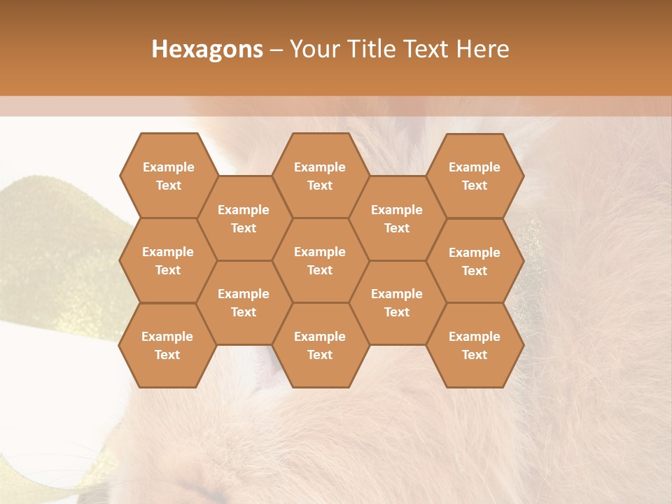 Office Li Ten People PowerPoint Template