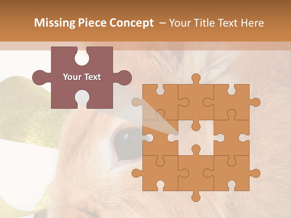 Office Li Ten People PowerPoint Template