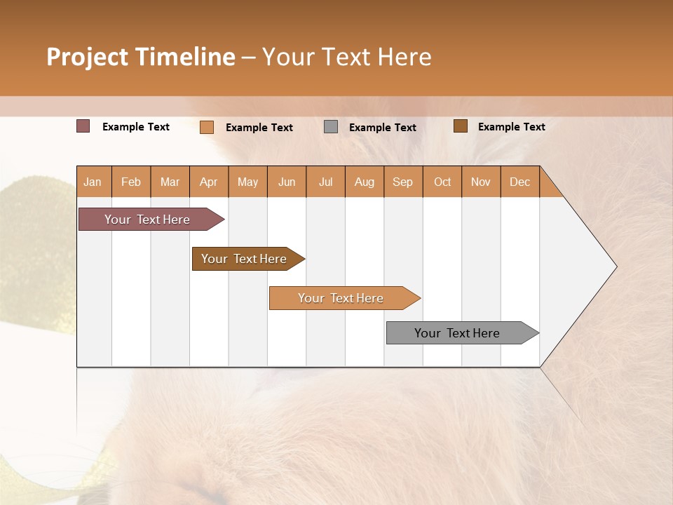 Office Li Ten People PowerPoint Template