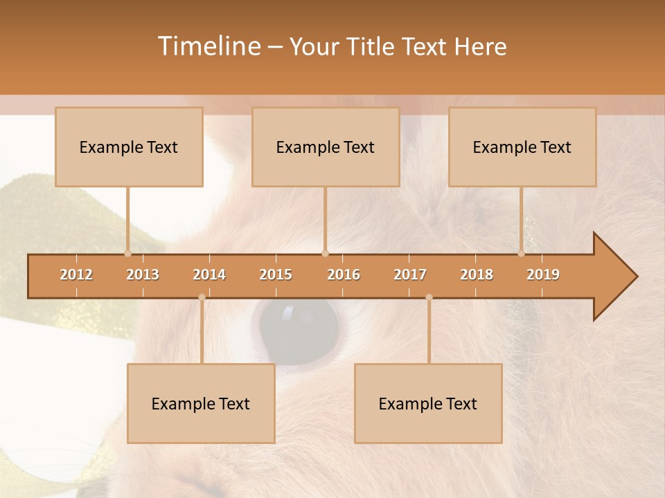 Office Li Ten People PowerPoint Template
