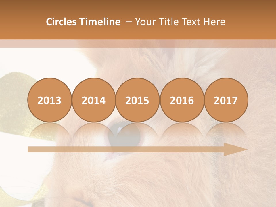 Office Li Ten People PowerPoint Template