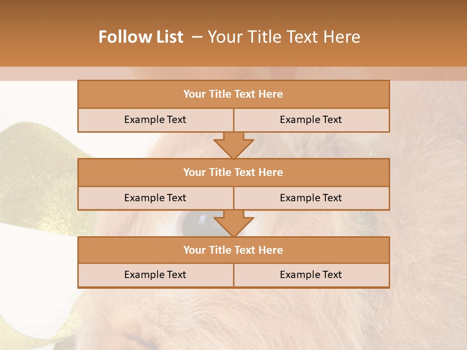 Office Li Ten People PowerPoint Template
