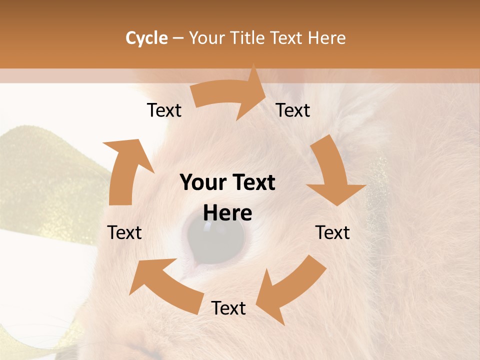 Office Li Ten People PowerPoint Template