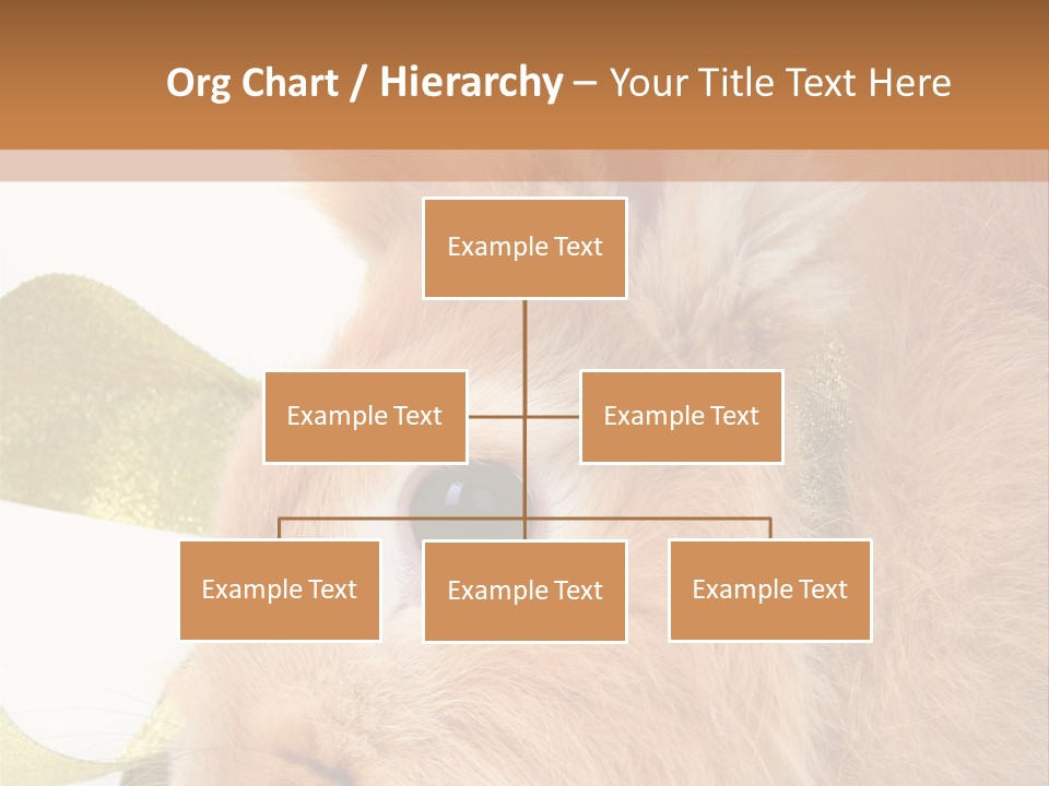 Office Li Ten People PowerPoint Template