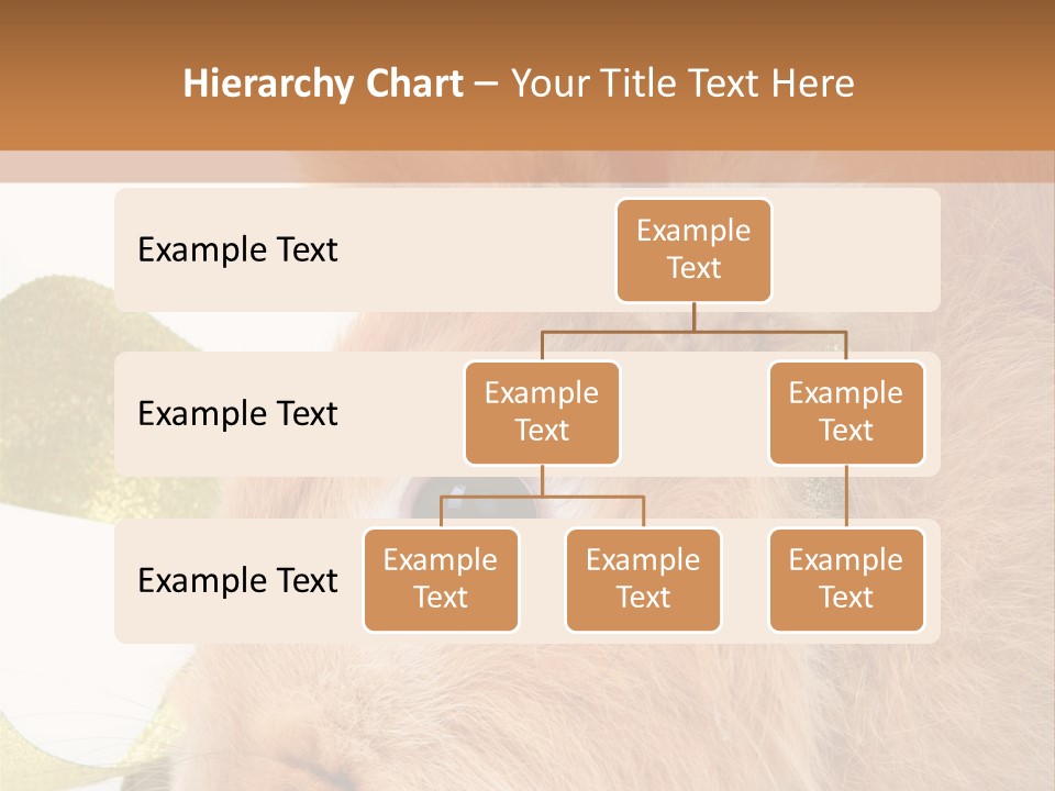 Office Li Ten People PowerPoint Template